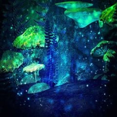 Exotic Forests Photography Scenery Backdrop Fantasy Theme Banner YMY-183