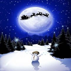 Christmas Deer Photography Scenery Backdrop Christmas Theme Banner YMY-194