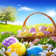 Various Eggs Photography Scenery Backdrop Festival Celebration Theme Banner YMY-232