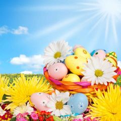 Cute Eggs Photography Scenery Backdrop Festival Celebration Theme Banner YMY-233