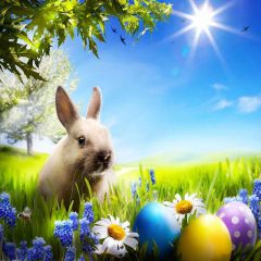Furry Rabbit Photography Scenery Backdrop Festival Celebration Theme Banner YMY-234
