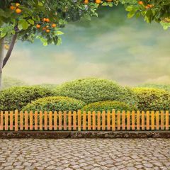 Lush Grass Photography Scenery Backdrop Nature Theme Banner YMY-240