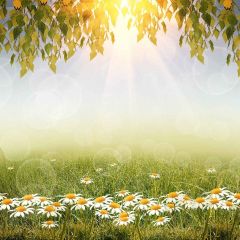 Pure Flowers Photography Scenery Backdrop Flowers Theme Banner YMY-241