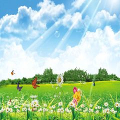 Flying Butterflies Photography Scenery Backdrop Flowers Theme Banner YMY-247