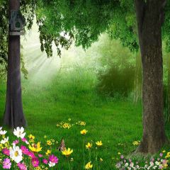 Lush Forest Photography Scenery Backdrop Forest Theme Banner YMY-249