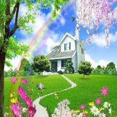 Beautiful Bungalow Photography Scenery Backdrop Flowers Theme Banner YMY-250