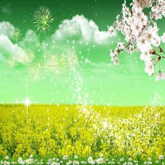 Wild Flower Photography Scenery Backdrop Festival Celebration Theme Banner YMY-254