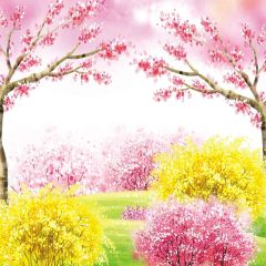 Smiling Flowers Photography Scenery Backdrop Flowers Theme Banner YMY-259
