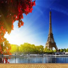 Distant Tower Photography Scenery Backdrop Landmark Theme Banner YMY-266