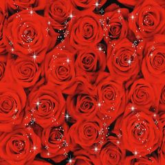 Romantic Roses Photography Scenery Backdrop Love Theme Banner YMY-282