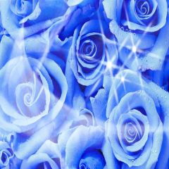 Noble Roses Photography Scenery Backdrop Love Theme Banner YMY-283