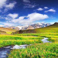 Flowing Stream Photography Scenery Backdrop Nature Theme Banner YMY-289