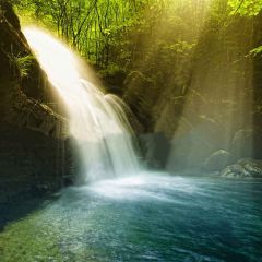 Wonderland Photography Scenery Backdrop Nature Theme Banner YMY-290