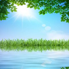 Peaceful Waters Photography Scenery Backdrop Nature Theme Banner YMY-292