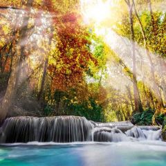 Beautiful Setting Sun Photography Scenery Backdrop Autumn Theme Banner YMY-297