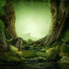 Demon Forest Photography Scenery Backdrop Forest Theme Banner YMY-298