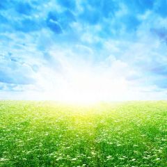 Blue Sky And Grass Photography Scenery Backdrop Festival Celebration Theme Banner YMY-302