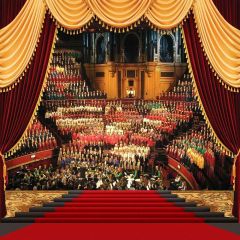 Gorgeous Stage Photography Scenery Backdrop Stage Carpet Theme Banner YMY-330