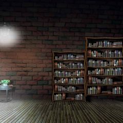 Little Bookshelf Photography Scenery Backdrop Bookshelf Theme Banner YMY-339