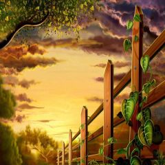 Strange Cloud Photography Scenery Backdrop Nature Theme Banner YMY-344