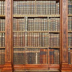 Retro Bookshelf Photography Scenery Backdrop Bookshelf Theme Banner YMY-354