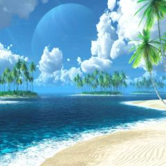 Romantic Beach Photography Scenery Backdrop Ocean Theme Banner YMY-361