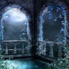 Night Scenery Photography Scenery Backdrop Arches or Pillars Theme Banner YMY-402