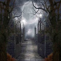 Gloomy Night Photography Scenery Backdrop Night Theme Banner YMY-403