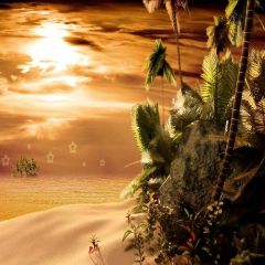 Sunset Views Photography Scenery Backdrop Night Theme Banner YMY-405