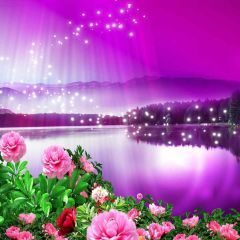 Beautiful Flowers Photography Scenery Backdrop Flowers Theme Banner YMY-407