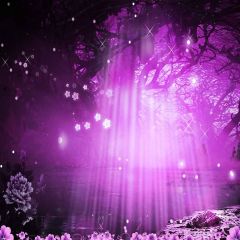 Adventure Forest Photography Scenery Backdrop Forest Theme Banner YMY-408