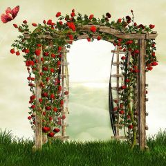 Flower Door Photography Scenery Backdrop Flowers Theme Banner YMY-409