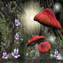 Fantasy Mushrooms Photography Scenery Backdrop Fantasy Theme Banner YMY-421