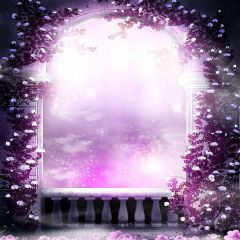 Forest Night Photography Scenery Backdrop Forest Theme Banner YMY-430