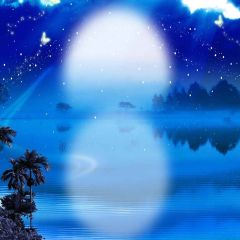 Quiet Night Photography Scenery Backdrop Night Theme Banner YMY-431