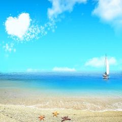 Beautiful Beach Photography Scenery Backdrop Ocean Theme Banner YMY-454