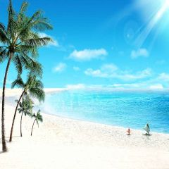 Sunshine Beach Photography Scenery Backdrop Ocean Theme Banner YMY-455
