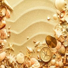 Beautiful Shell Photography Scenery Backdrop Ocean Theme Banner YMY-460