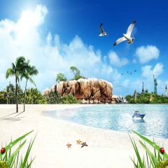 Beach Vacation Photography Scenery Backdrop Ocean Theme Banner YMY-463