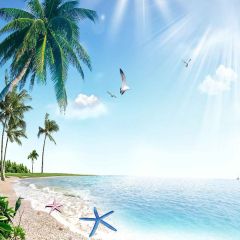 Sunny Beach Photography Scenery Backdrop Ocean Theme Banner YMY-464