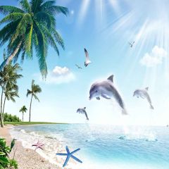 Jumping Dolphins Photography Scenery Backdrop Ocean Theme Banner YMY-465