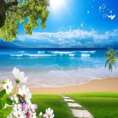 Beautiful Sea View Photography Scenery Backdrop Ocean Theme Banner YMY-466