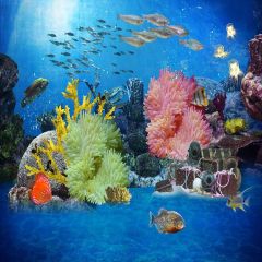 Undersea Scenery Photography Scenery Backdrop Ocean Theme Banner YMY-476
