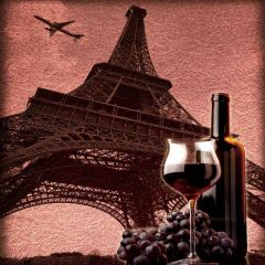 Simple Eiffel Tower Photography Scenery Backdrop Luxury Theme Banner YMY-482