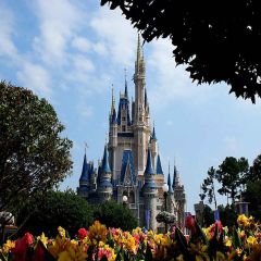 Standing Castles Photography Scenery Backdrop Streetscape Theme Banner YMY-504