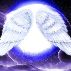 Magical Wings Photography Scenery Backdrop Birthday Party Theme Banner YMY-563