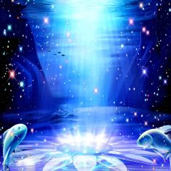 Shinning Stars Photography Scenery Backdrop Flowers Theme Banner YMY-565