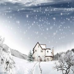 Cold Winter Photography Scenery Backdrop Snow Theme Banner YMY-568