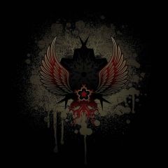 Dark Wings Photography Scenery Backdrop Textures Theme Banner YMY-581