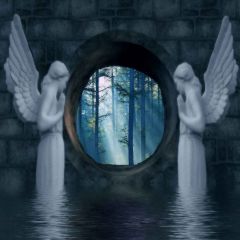 Guardian Angel Photography Scenery Backdrop Forest Theme Banner YMY-582